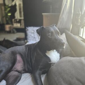 Meet your Posher, Mariko